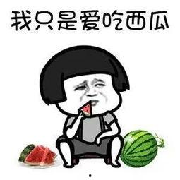 娱乐吃瓜音乐叫什么来着,揭秘流行乐坛的“瓜田”奇闻